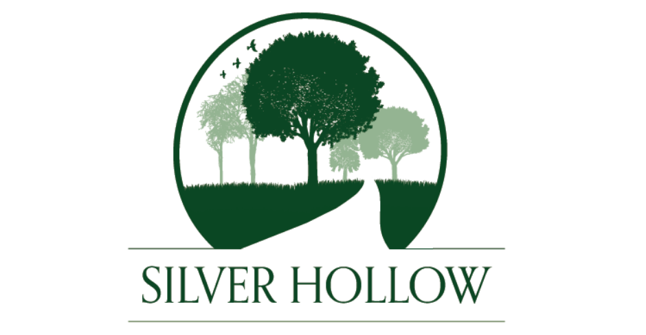 Silver Hollow